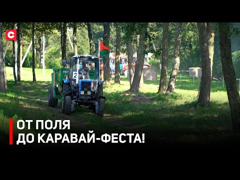 Видео: Гоняли на тракторе и пробовали каравай! Как прошла «Бацькава булка»?