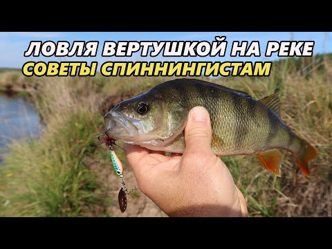 Видео: Советы по ловле вертушкой на реке