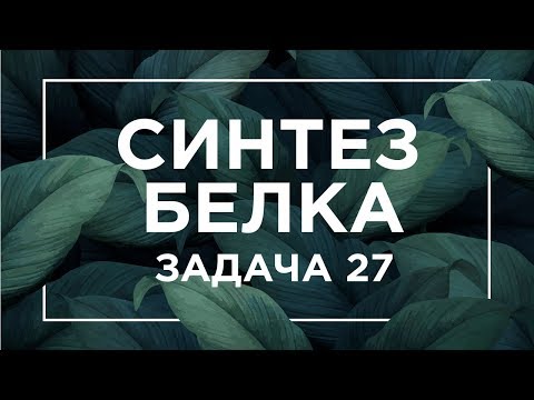 Видео: Синтез белка Задача 27 | ЕГЭ Биология | Даниил Дарвин