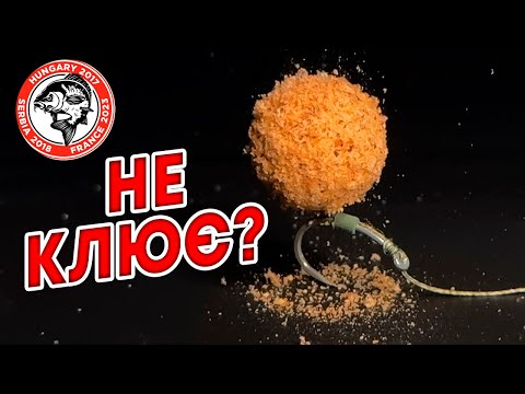 Видео: Короп НЕ КЛЮЄ? ТОП-1 НАСАДКА! Сам в ШОЦІ!