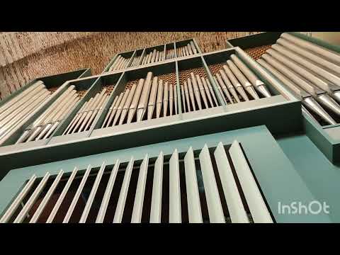 Видео: Органной музыки много не бывает.