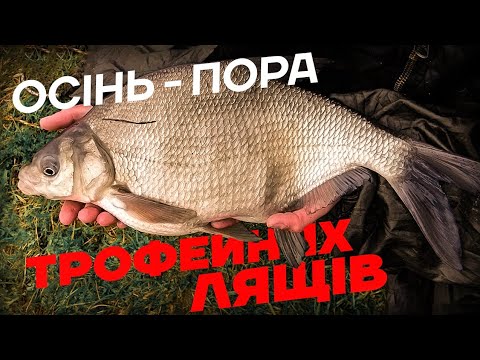 Видео: Ловля Ляща на Фідер пізньої осені! Дикі клювання Ляща та Карася: загиби, відстріли, "віддай вудлище"