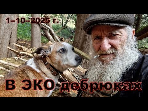 Видео: В ЭКО дебрюки.