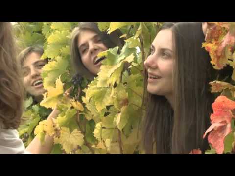 Видео: КОСОВСКИ БОЖУРИ - Догодине на Косову -