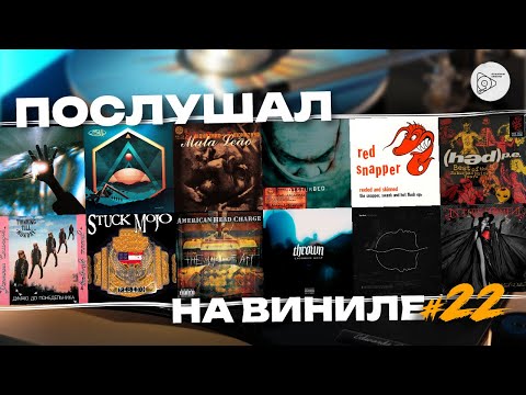 Видео: Послушал на виниле #22