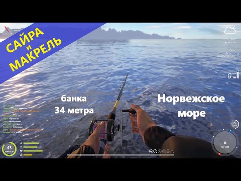 Видео: Русская рыбалка 4 - Норвежское море - Сайра и макрель