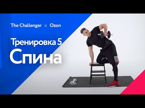 Видео: Силовая видеотренировка с акцентом на мышцы спины