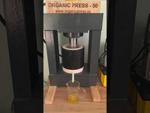 Видео: Холодного отжим льняного масла на маслопрессе Organic press 50тн