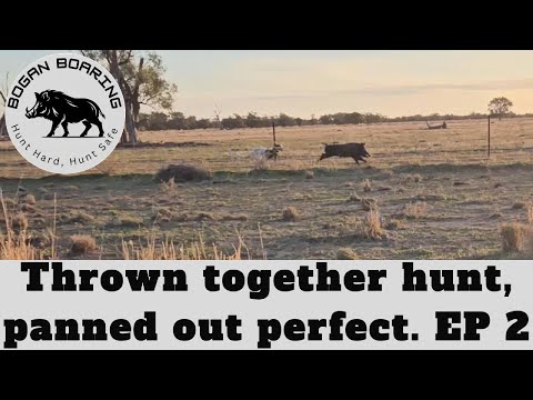 Видео: Собранная воедино охота, идеально сработанная. Часть 2