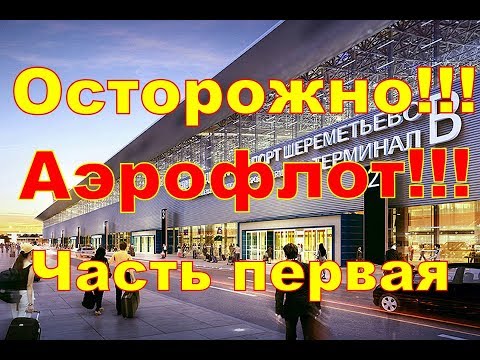 Видео: Приключения камчатских пассажиров в Шереметьево.   Часть первая.