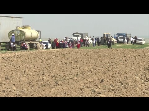 Видео: Түркістан облысында үш бірдей ауылдың халқы мал жайып, егін егетін жер таппай отыр