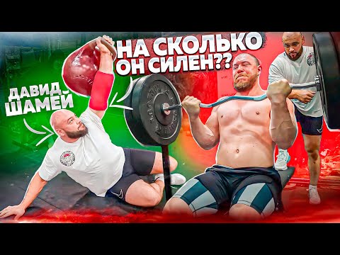 Видео: НА ЧТО СПОСОБЕН САМЫЙ СИЛЬНЫЙ СТРОНГ // ДАВИД ШАМЕЙ??