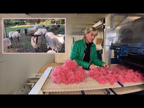 Видео: Прочесывание всей окрашенной шерсти для ручного прядения для вязания вдоль