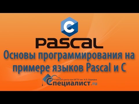Видео: Основы программирования и структура кода на примере языков Pascal и Cи