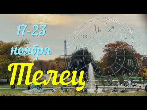 Видео: ТЕЛЕЦ ♉️Прогноз на неделю с 17 по 23 ноября .