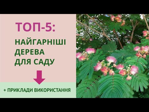 Видео: Самые красивые и нетребовательные декоративные деревья для сада