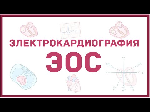 Видео: ЭКГ - электрическая ось сердца