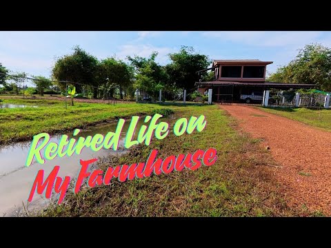 Видео: Кхмер-американец вышел на пенсию и нашел новую жизнь в Камбодже