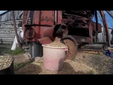 Видео: Очистка пшеницы от сорняка. ОВС-25