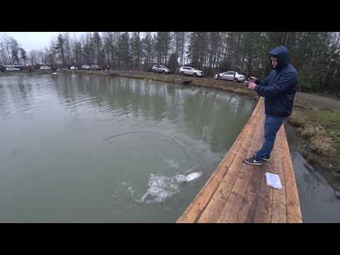 Видео: Форель 2.5кг на китайский ультралайт за 560 рублей!