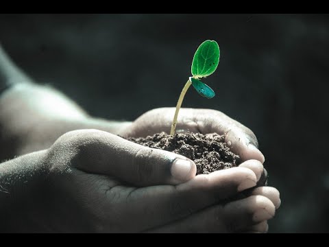 Видео: Вебинар Принятие решений часть 2