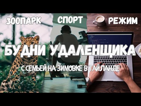 Видео: Будни удаленщика с семьей на зимовке в Тайланде. Зоопарк Khao Kheow. Рыбный рынок. Наше жилье. Влог