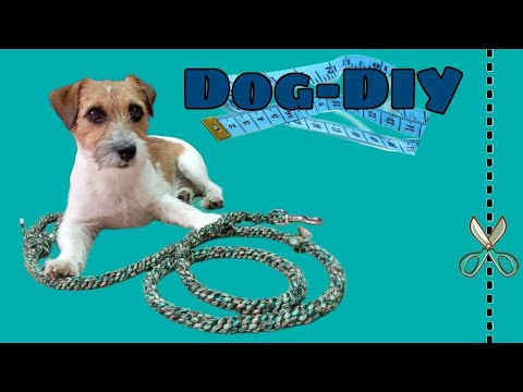 Видео: DIY: поводок из паракорда/dog's leash with cord🐕‍🦺