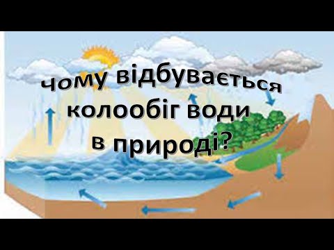 Видео: Урок 21. Чому відбувається колообіг води в природі? Я досліджую 3 клас