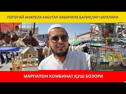 Видео: МАРҒИЛОН КОМБИНАТ ҚУШ БОЗОРИ | ПОПУГАЙ КАБУТАР АМАДИНКА АЖРЕЛИВИЙ АКВАРИУМ БАЛИҚЛАР НАРХЛАРИ