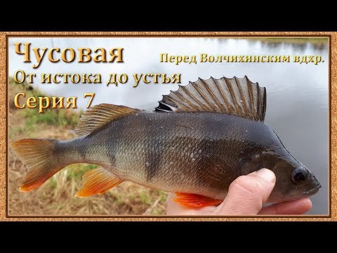 Видео: Чусовая: от истока и до устья. Серия 7 -- перед Волчихинским вдхр