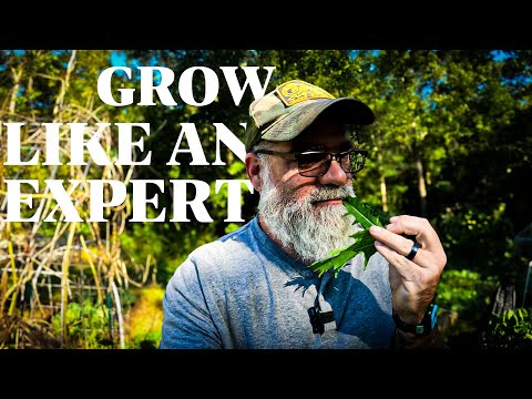 Видео: Не сажайте, пока не обдумаете это.