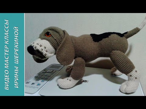 Видео: Собака Бигль, ч.2. Dog Beagle, р.2.  Amigurumi dog. Амигуруми собака.