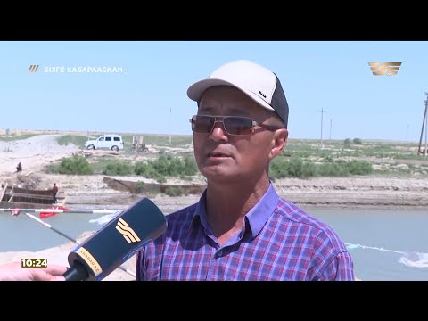 Видео: Сен аржақта Аманөткел, мен бержақта. Ақшатаулықтардың жанайқайы
