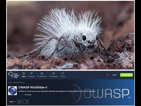Видео: 5. Установка Mutillidae. Уязвимости: PIDRILA, LFI, RCE через LFI, XML/XXE, IDOR и HTTP Param Pollut