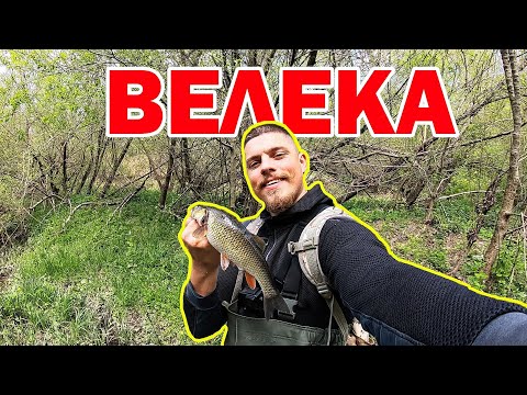 Видео: РИБОЛОВ на КЕФАЛ и ПЪСТЪРВА! Много активност и удари преди ЗАБРАНАТА!