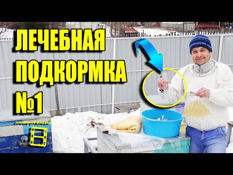 Видео: СИРОП ДЛЯ ПЧЕЛ С ЧЕСНОКОМ ВЕСНОЙ. ЛЕЧЕНИЕ ПЧЕЛ ЧЕСНОКОМ. ДЛЯ НАЧИНАЮЩИХ ПЧЕЛОВОДОВ 4-21
