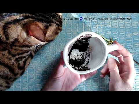 Видео: 🔥 31 ОКТЯБРЯ - 4 НОЯБРЯ 2025 ЧТО ЖДЁТ СО ДНЯ НА ДЕНЬ? Что ждёт уже сегодня? Гадание на кофейной гуще