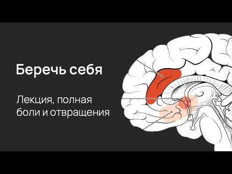 Видео: Негативные эмоции: нейробиология боли и отвращения