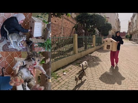 Видео: Эта мама-кошка пытается сказать спасибо паре каждый раз, когда они ее навещают.