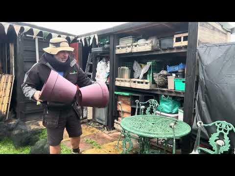 Видео: № 237 - Начало реконструкции сарая и осмотр объекта, часть 2.