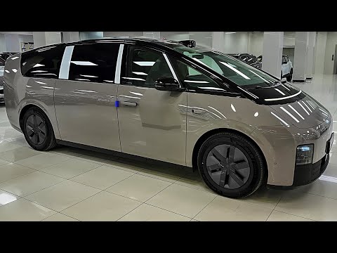 Видео: LiXiang Mega (2024) — отличный семейный мини-фильм!