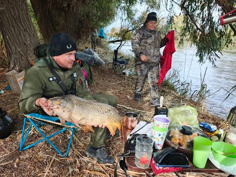 Видео: РУКИ ОТ ТАКОЙ РЫБАЛКИ БОЛЯТ. Сазан сходит с ума. Погода радует