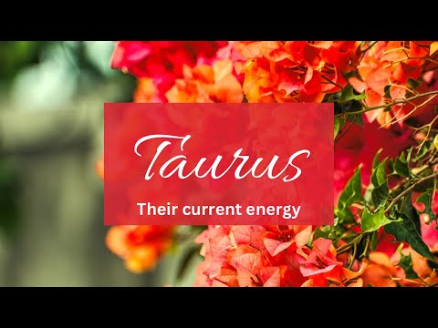 Видео: Телец❤️Боже мой, упрямство этого человека выходит на совершенно другой уровень, даже после того, ...