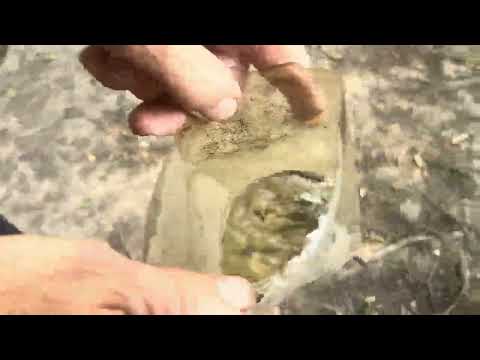 Видео: Ловлю окунів на живця