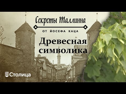 Видео: "Секреты Таллинна": Древесная символика