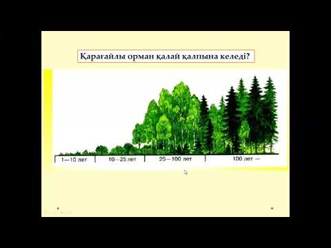 Видео: Экожүйенің ауысымы 6 сынып ,жаратылыстану