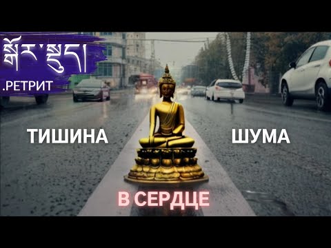 Видео: Затворники в Петербурге. Без еды, воды и слов в буддийском храме | Другой Петербург