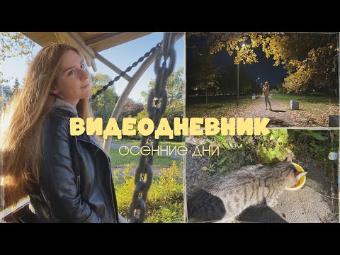 Видео: Видеодневник / Моя уютная осень 🍂