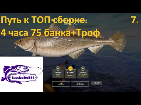 Видео: Путь к ТОП сборке серия 7 . 75 банка троф треска  4 часа