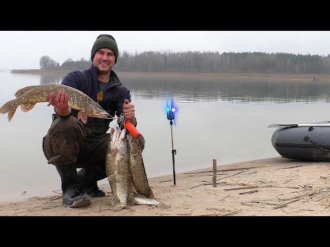 Видео: СИГНАЛИЗАТОР ПИЩИТ! РАЗДАЧА ЩУКИ НА РЕЗИНКУ ПОЗДНЕЙ ОСЕНЬЮ!